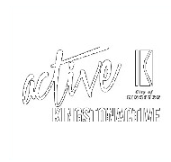 KingstonActive